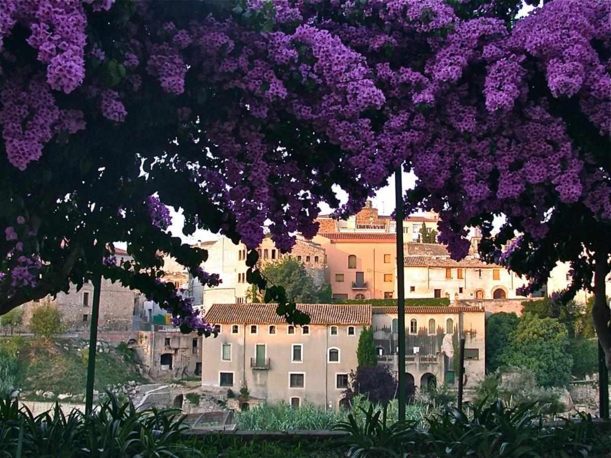 Hotel Rural Hd Riudebitlles Art I Allotjament Sant Pere de Riudebitlles Екстер'єр фото